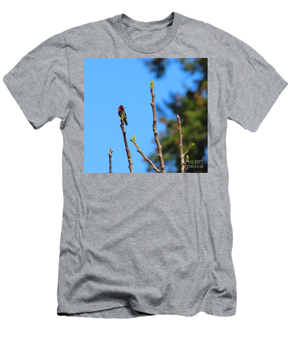 Hummingbird T-Shirt featuring the photograph Pensive Hummer by Kimberly Furey