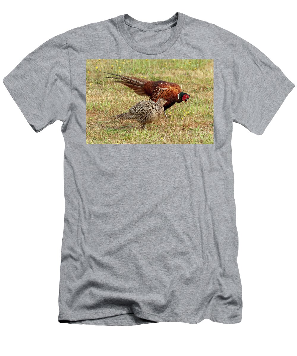 Pheasant T-Shirt featuring the photograph Pheasant courtship and mating ritual display 01 by Simon Bratt
