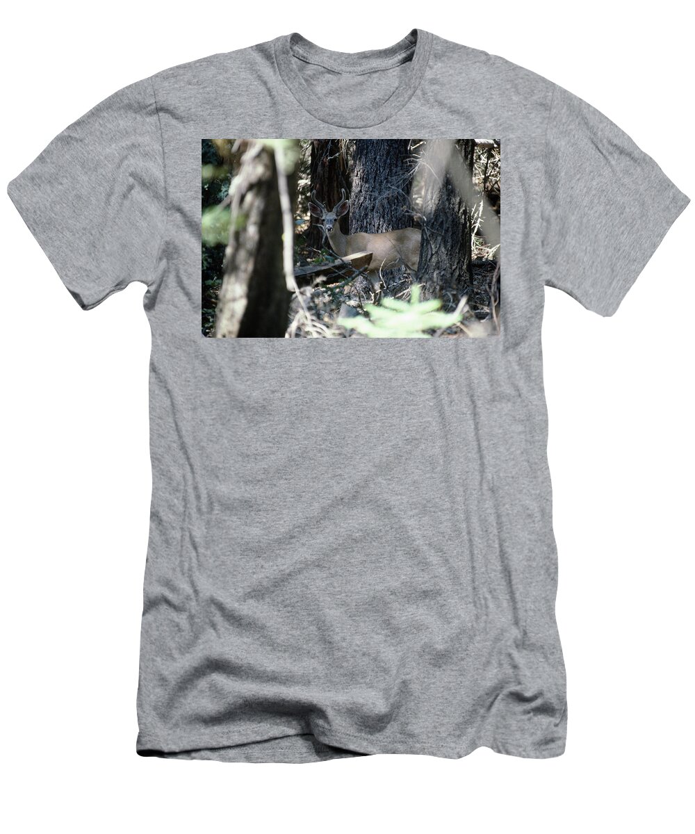 Mule Deer T-Shirt featuring the photograph Piercing Glance by Soli Deo Gloria Wilderness And Wildlife Photography