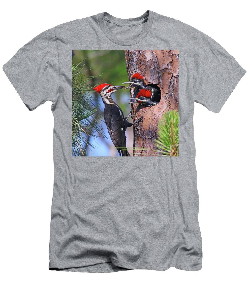 Woodpecker T-Shirt featuring the photograph Pileated Woodpeckers Dad arrives by Larry Nieland