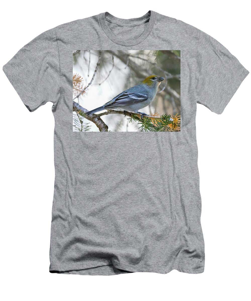 Yellowstone National Park T-Shirt featuring the photograph Pine Grosbeak in Winter - Female by Cheryl Strahl