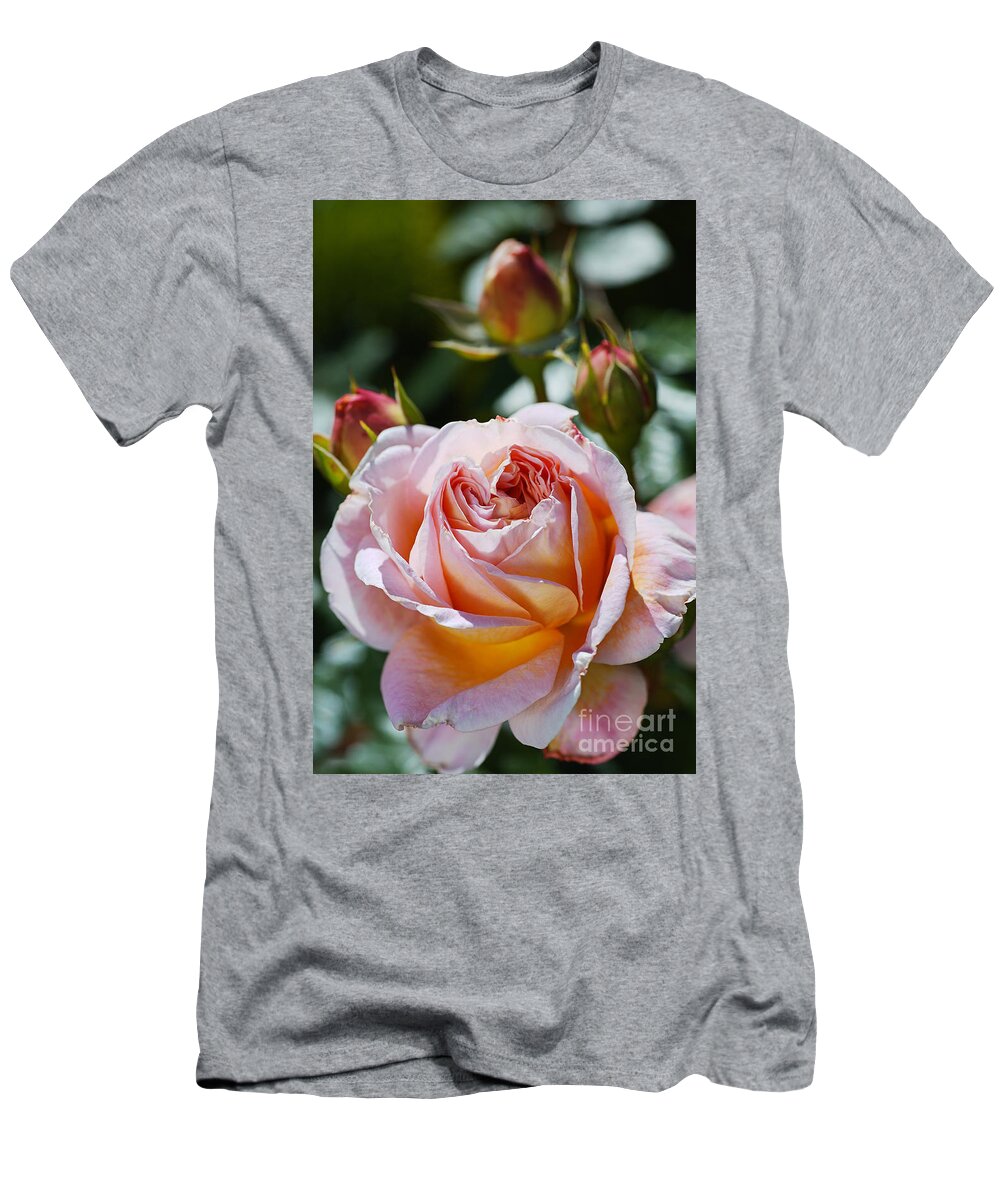 Abraham Darby Rose Flower T-Shirt featuring the photograph Pink Abraham Darby Rose by Joy Watson