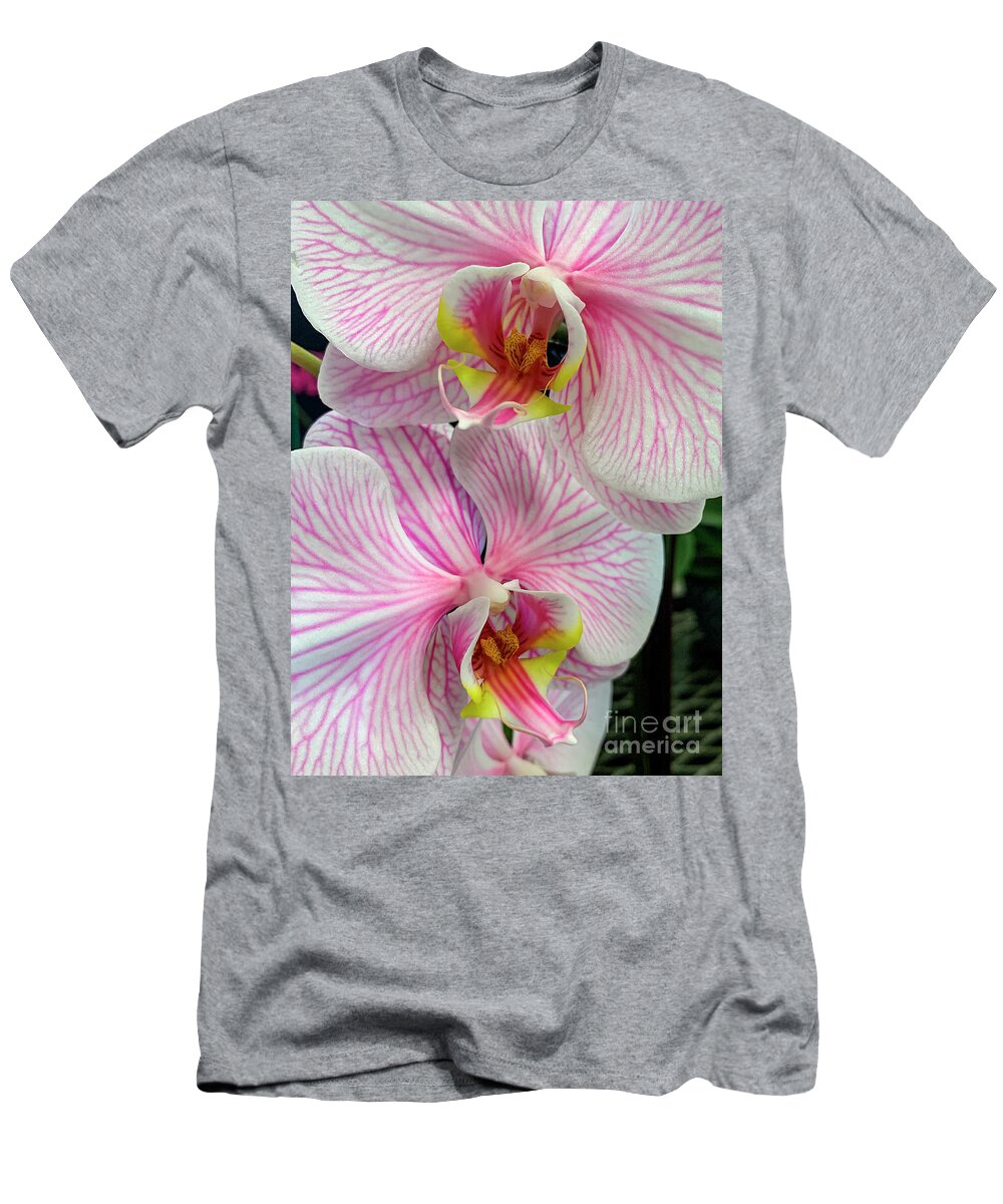Garden Flowers T-Shirt featuring the photograph Pink and White Orchid Macro by David Zanzinger