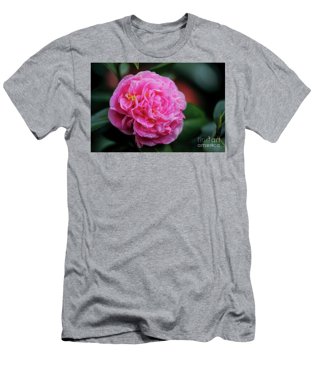 Pink Camellia T-Shirt featuring the photograph Pink Camellia by Felix Lai