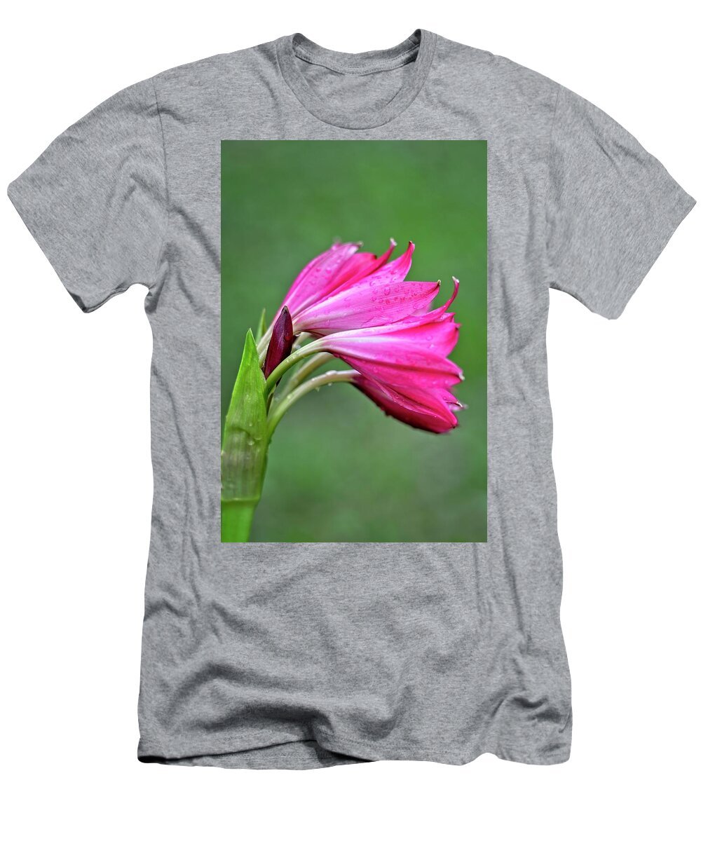 Lily T-Shirt featuring the photograph Pink Lily Raindrops by Carolyn Marshall