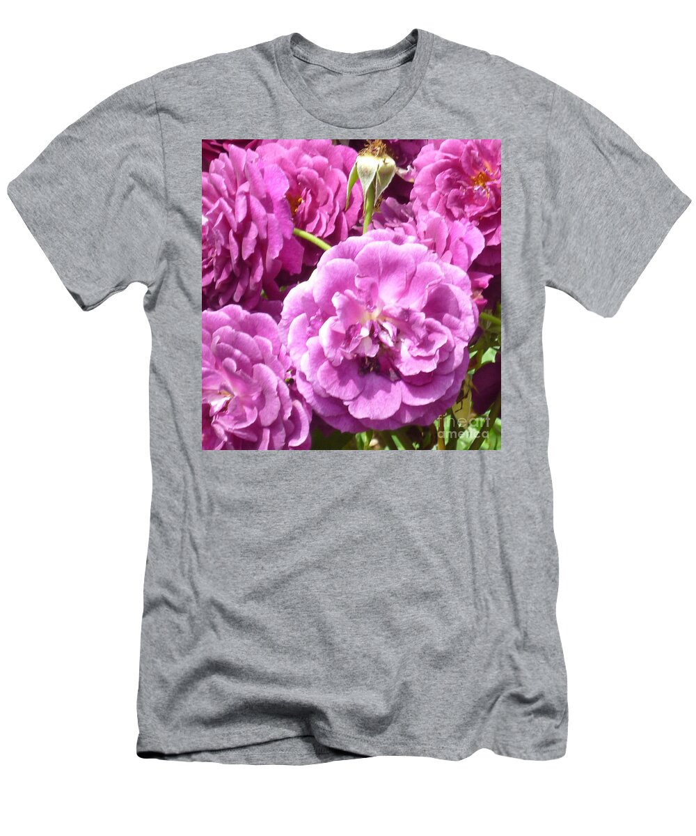Roses T-Shirt featuring the photograph Pink Rose by Carolyn Weltman