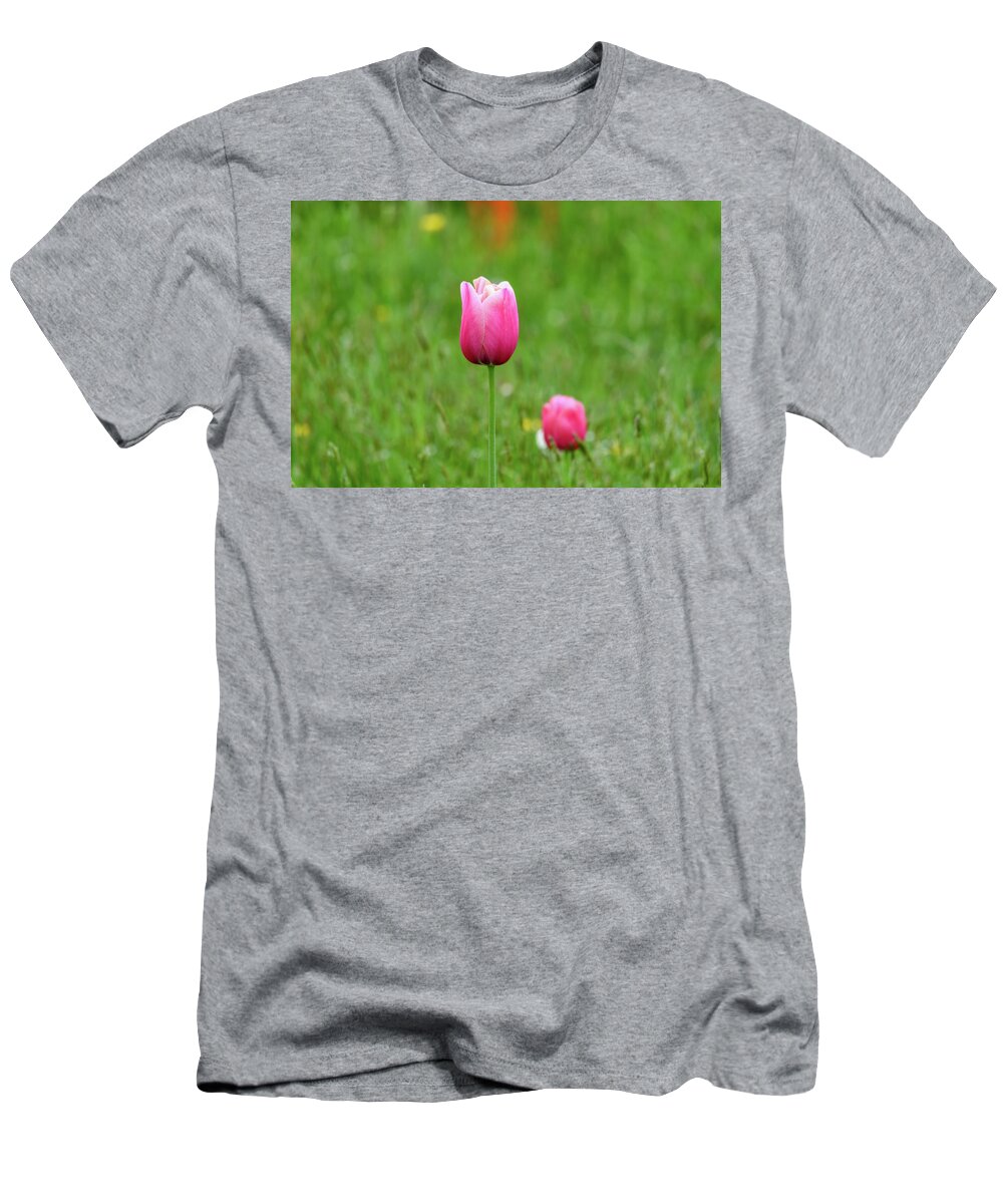 Tulip T-Shirt featuring the photograph Pink Tulip by Andrew Lalchan