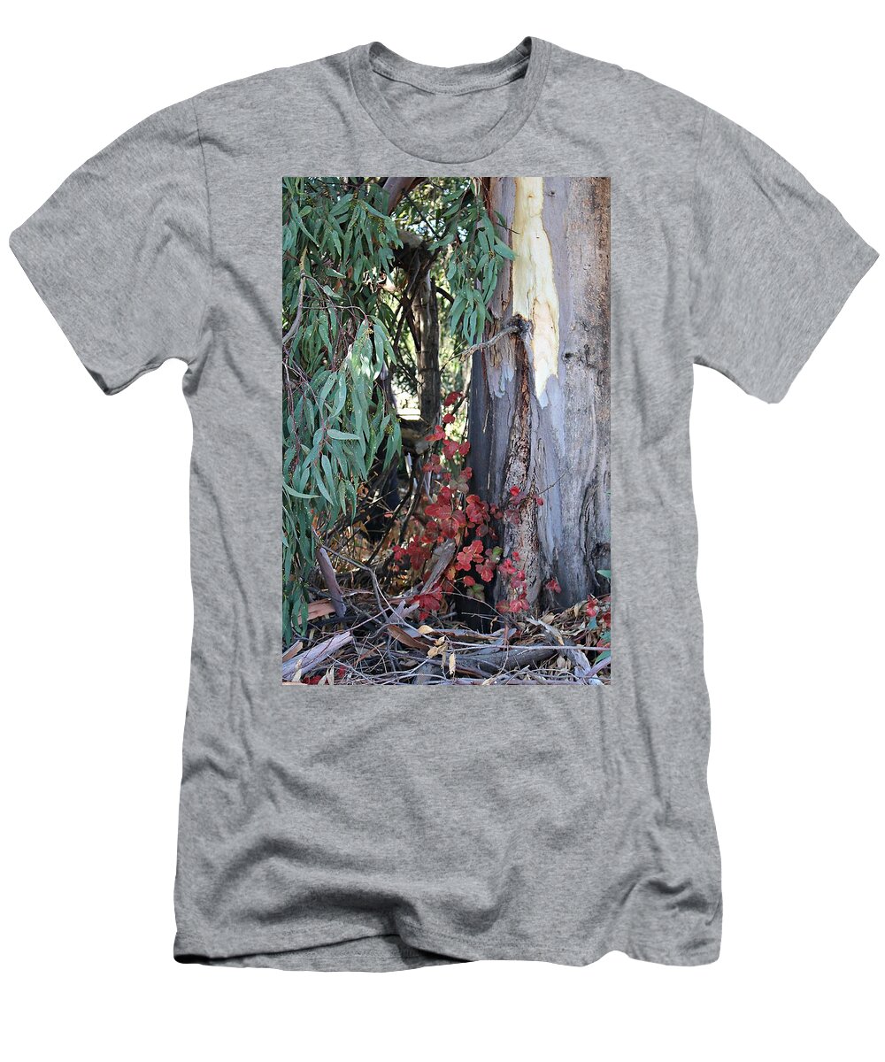 Poison Oak T-Shirt featuring the photograph Poison Oak in Fall Coloirs by Martha Sherman