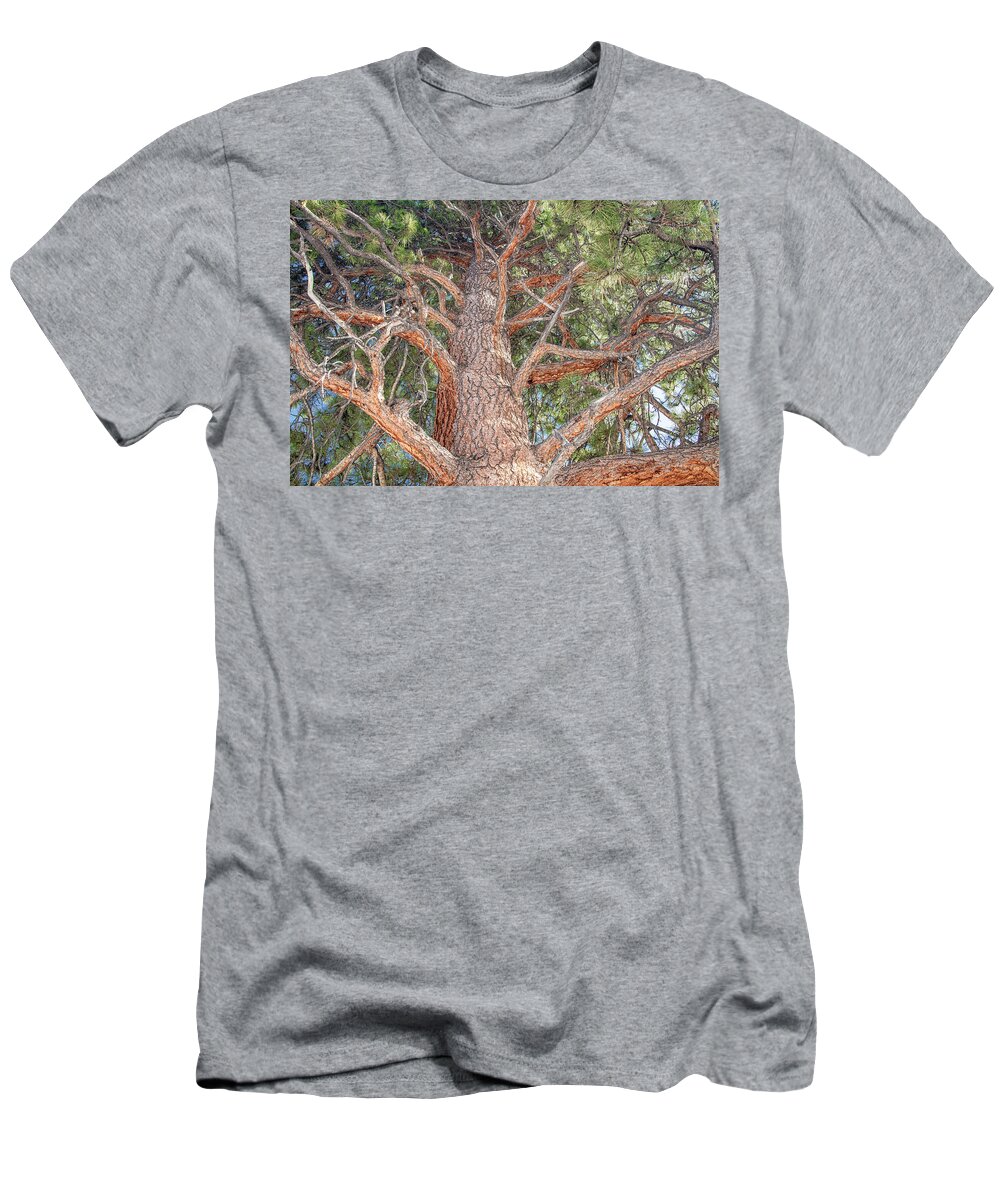 Ponderosa Pine T-Shirt featuring the photograph Ponderosa Pine Perspective by Marcy Wielfaert