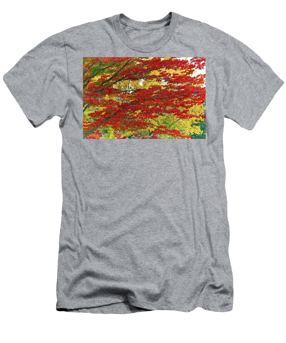 Abstract T-Shirt featuring the photograph Port Gamble Fall Colors by David Desautel