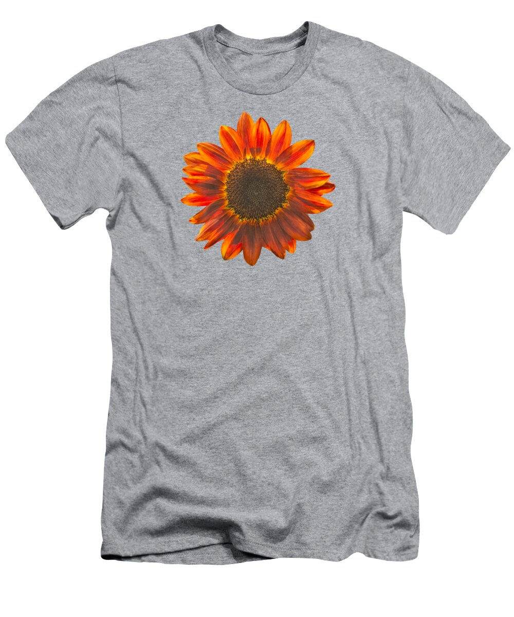 Sunflower T-Shirt featuring the photograph Prado red Sunflowers by Zina Stromberg