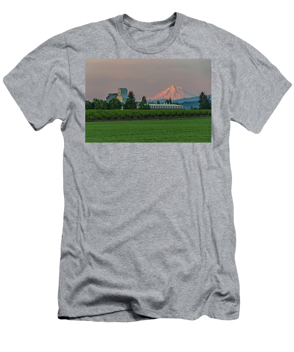  T-Shirt featuring the photograph Pratum in the valley by Ulrich Burkhalter