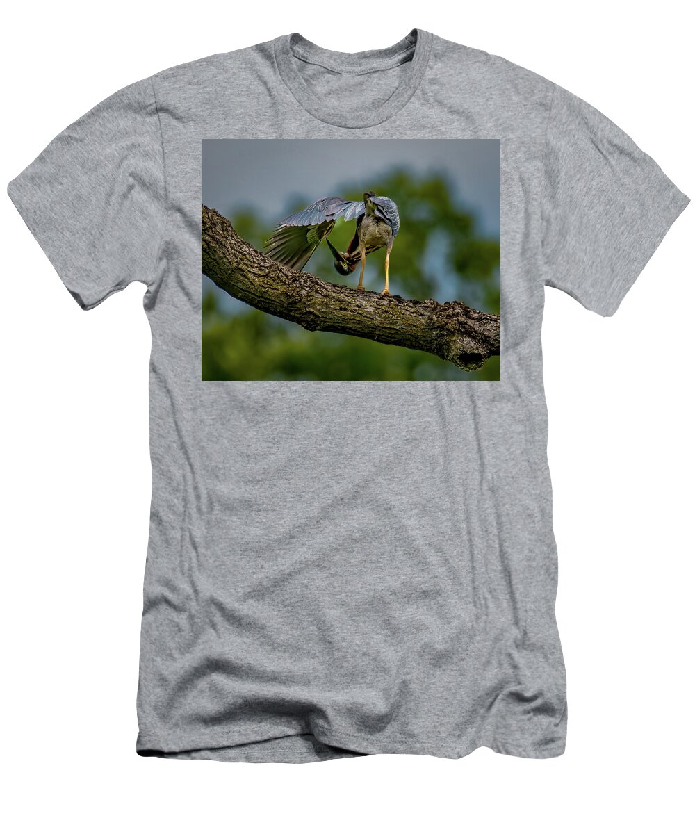 Avian T-Shirt featuring the photograph Preening Green Heron by Brian Shoemaker