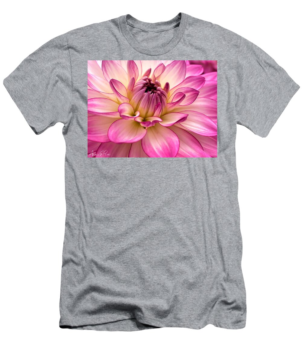 Dahlia T-Shirt featuring the photograph Pretty in Pink by Andrea Platt