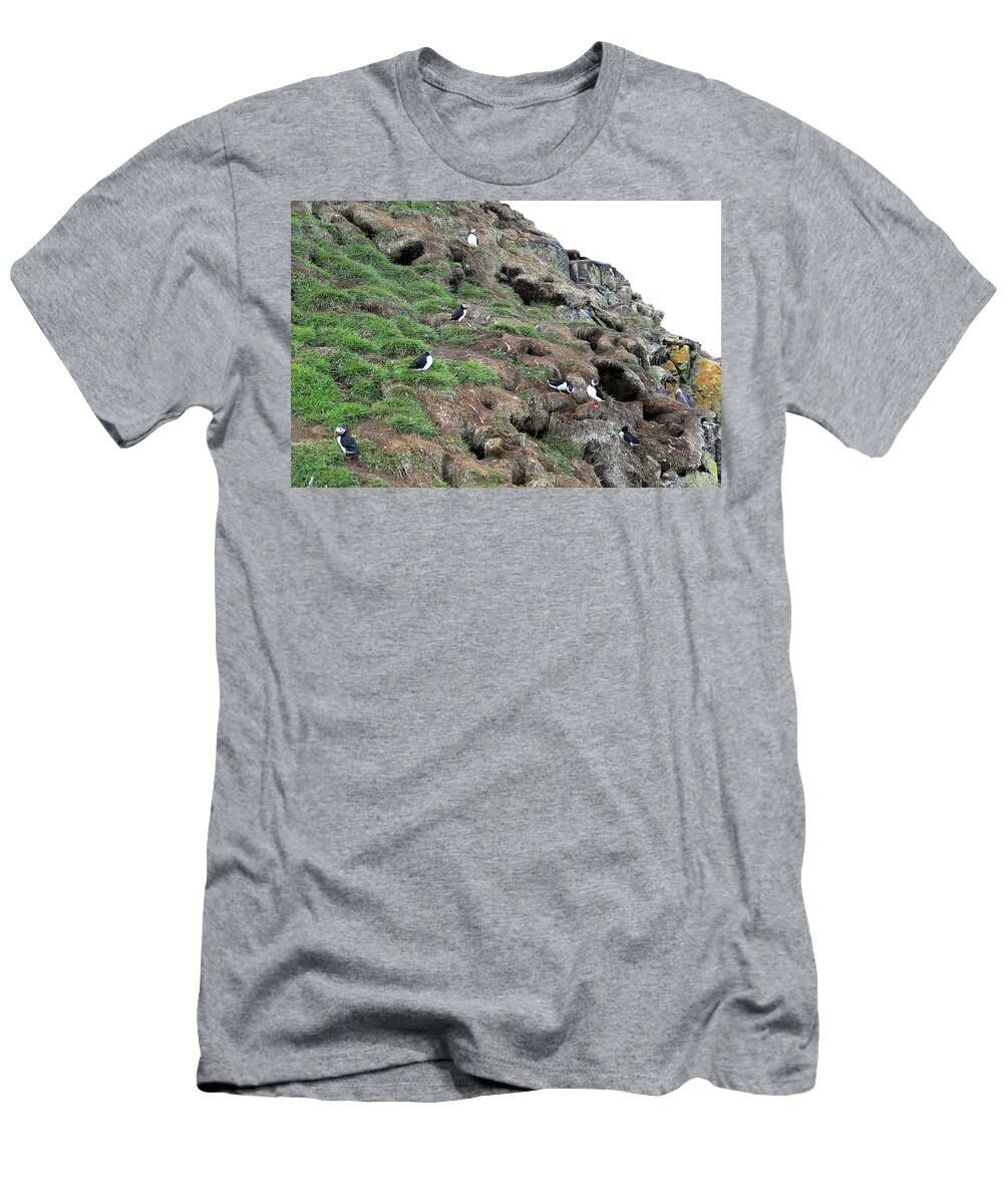Puffin T-Shirt featuring the photograph Puffin 4 - Northeast Iceland by Richard Krebs
