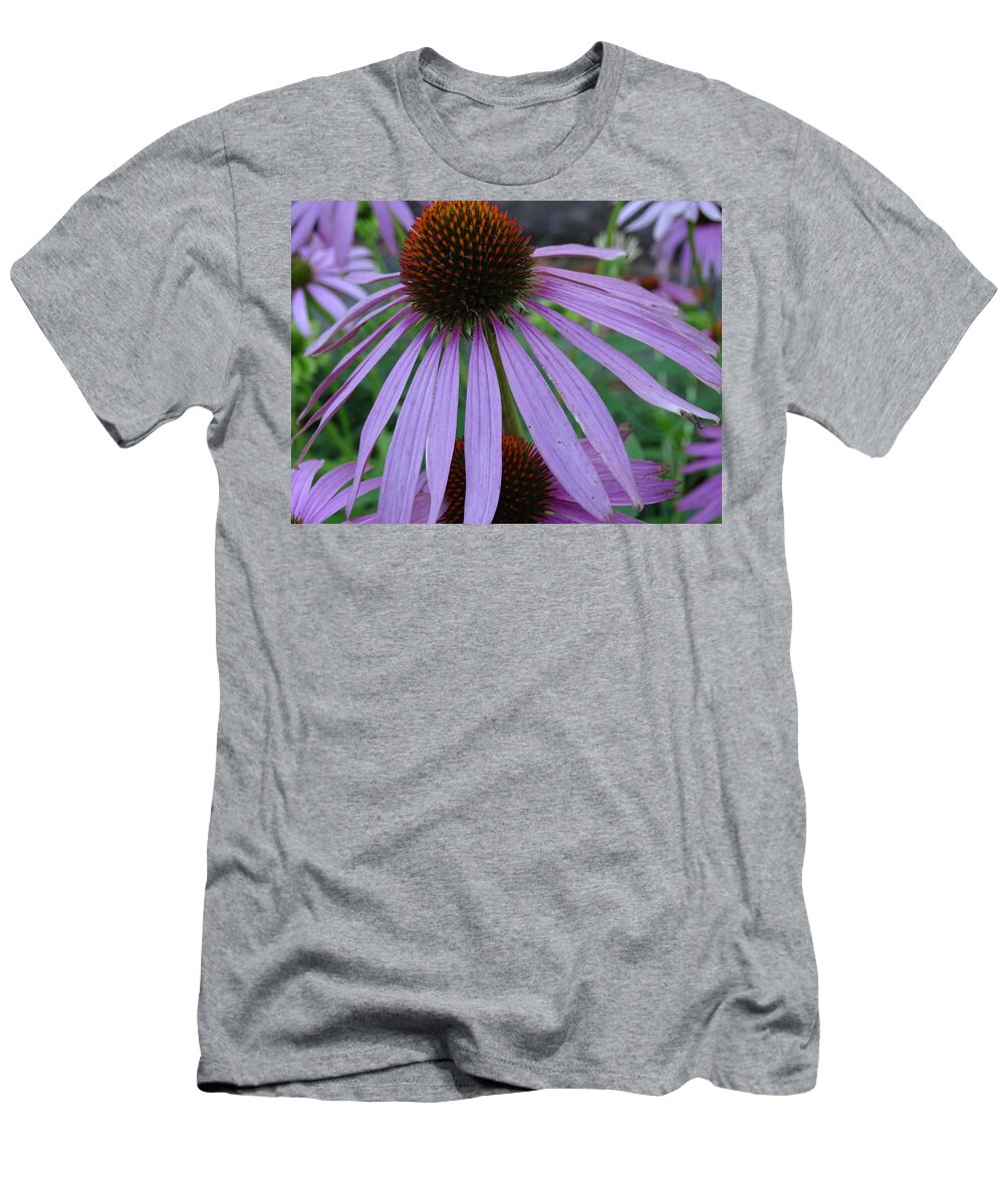Purple Cone Flower T-Shirt featuring the photograph Purple by Mary Halpin