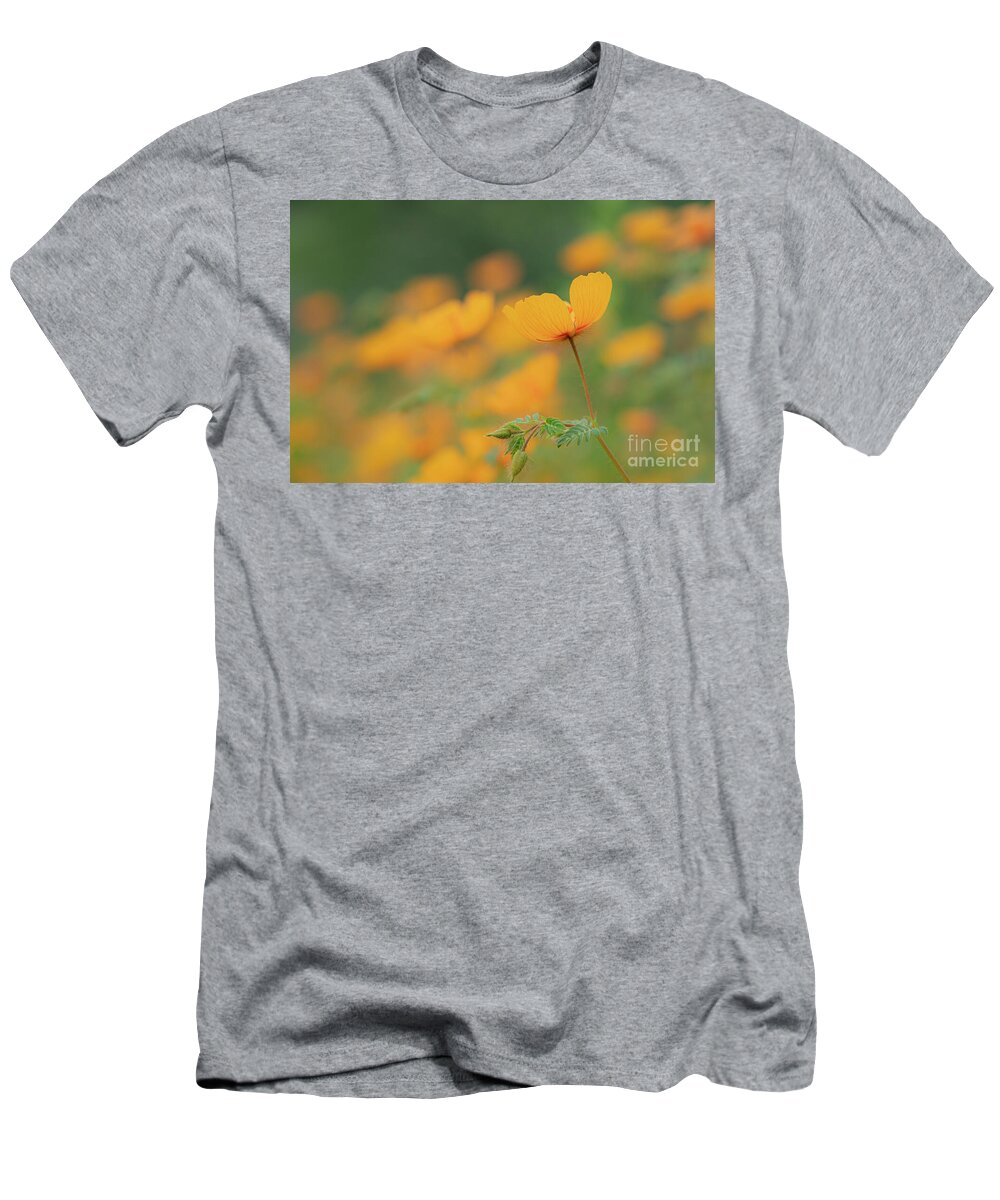 Arizona T-Shirt featuring the photograph Rain Poppies by Maresa Pryor-Luzier