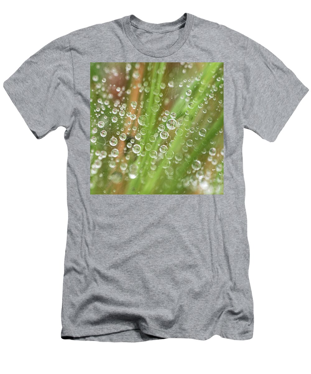 Rain T-Shirt featuring the photograph Raindrops On A Web Net by Karen Rispin