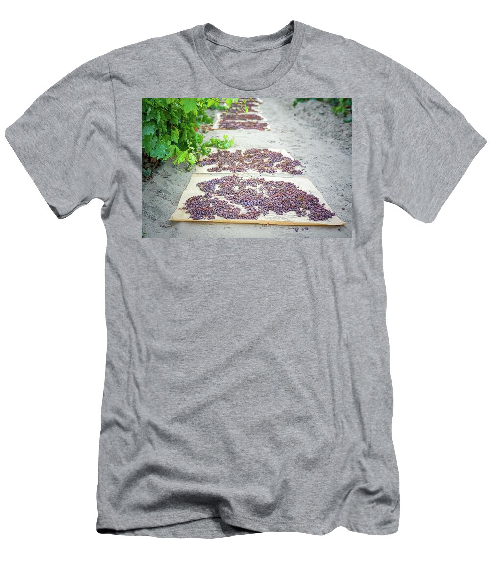 Sun-dried Raisins T-Shirt featuring the photograph Raisin Harvest by Joan Baker