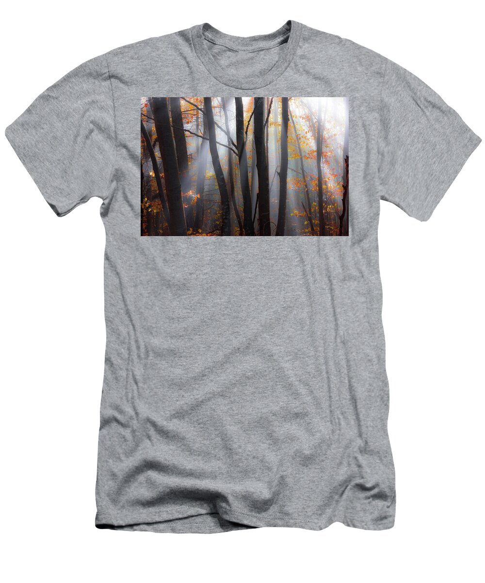Fall T-Shirt featuring the photograph Rays of hope by Cosmin Stan