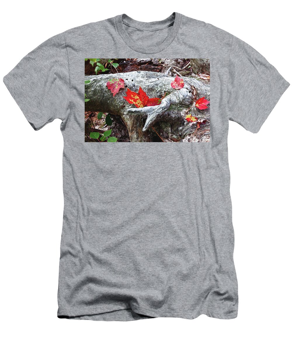 Autumn Foliage New England T-Shirt featuring the photograph Red fall against grey by Jeff Folger