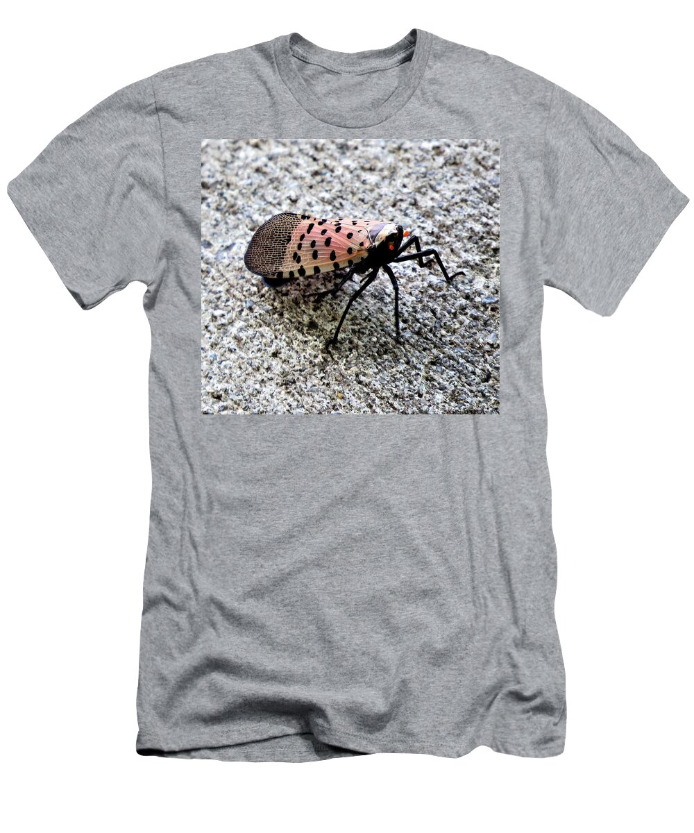 Insects T-Shirt featuring the photograph Red Spotted Lanternfly Closeup by Linda Stern