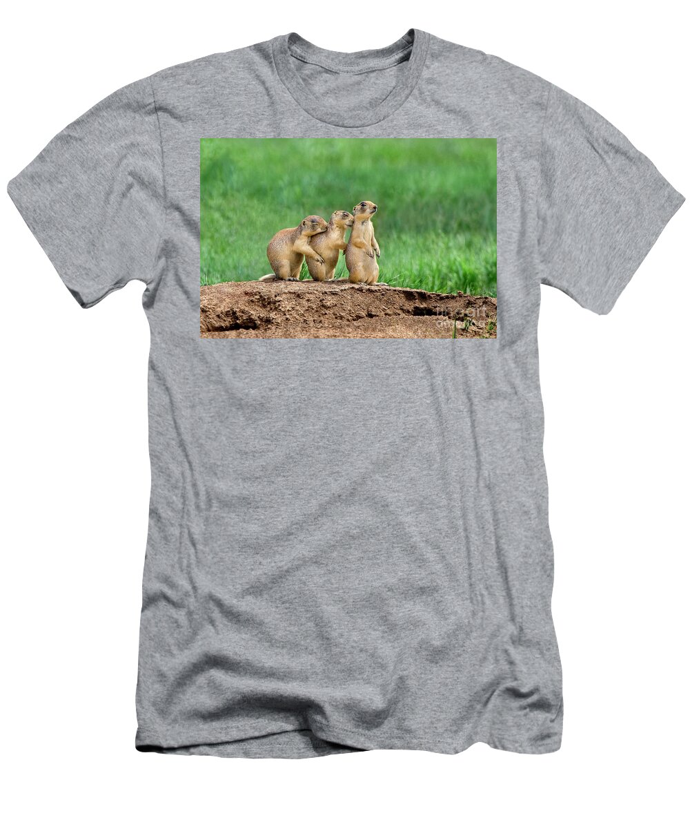 Utah Prairie Dogs T-Shirt featuring the photograph Relaxing Utah Prairie Dogs Cynomys Parvidens Wild Utah by Dave Welling