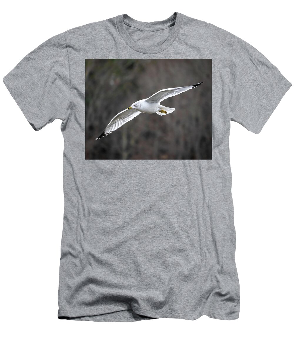 Bird T-Shirt featuring the photograph Ring-billed Gull by Rick Nelson