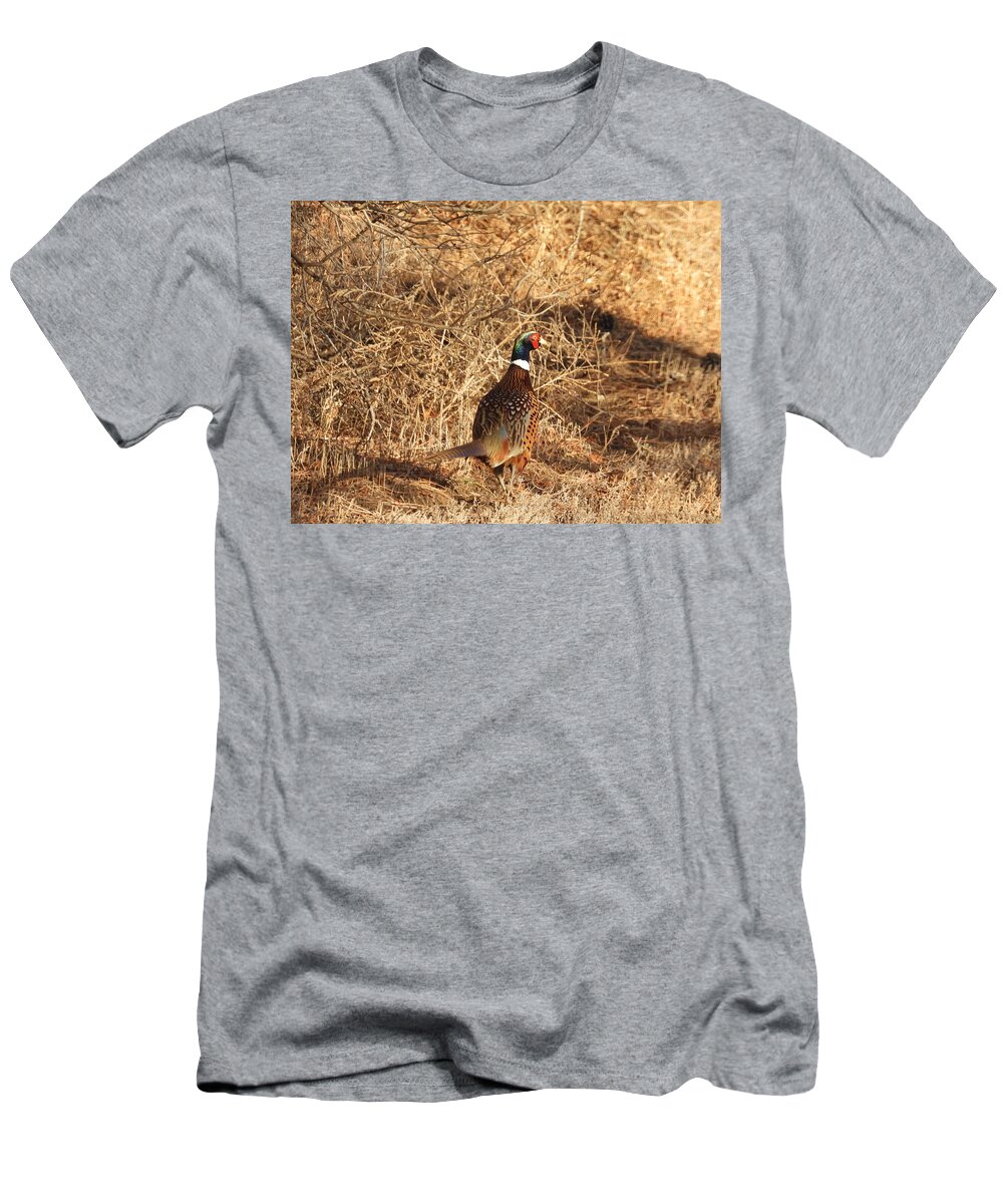 Pheasant T-Shirt featuring the photograph Ring Necked Pheasant Pause by Amanda R Wright
