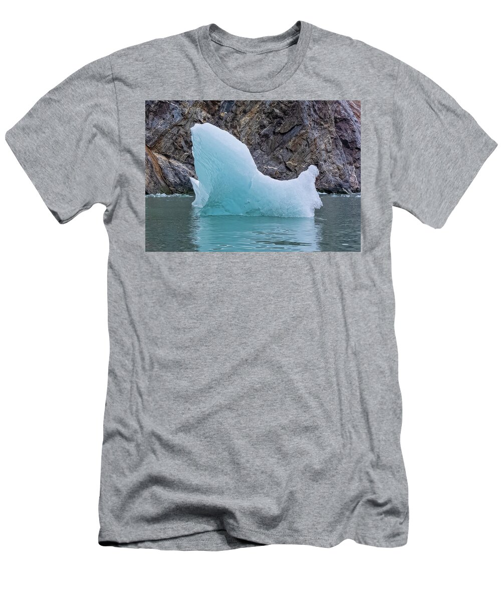 Iceberg T-Shirt featuring the photograph Rock and Ice by Louise Lindsay