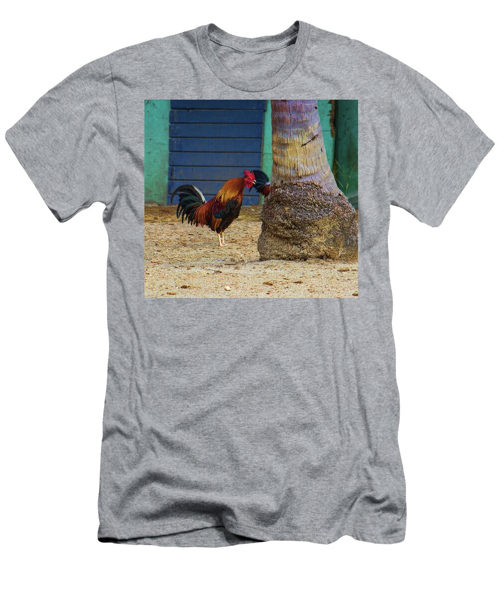 Rooster T-Shirt featuring the photograph Rooster Crowing at a Tree by Roberta Byram