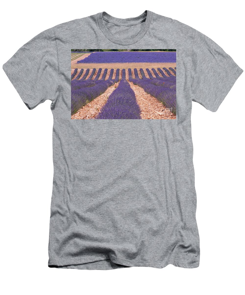 Sault T-Shirt featuring the photograph Rows of Lavender in Sault by Bob Phillips