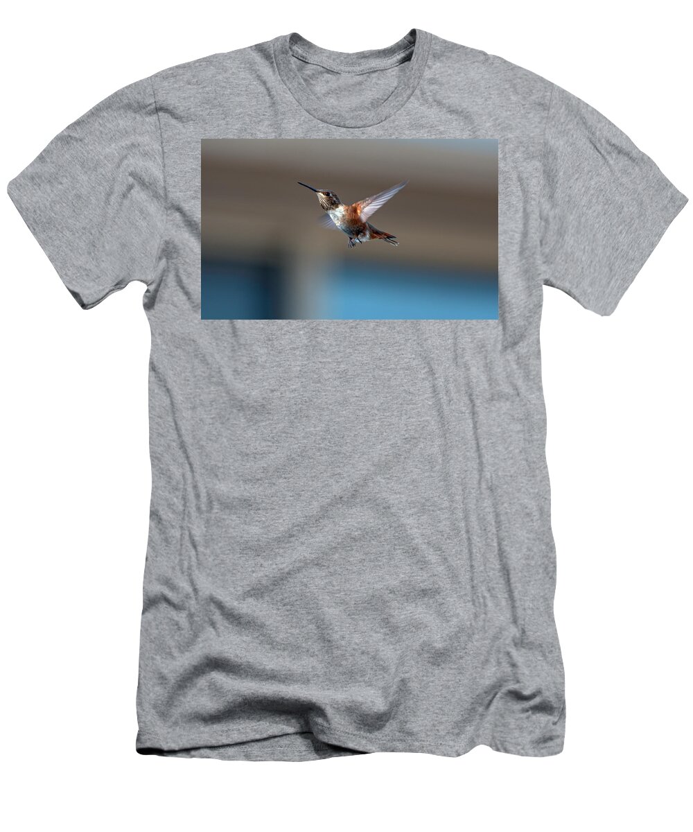 Hummingbird T-Shirt featuring the photograph Rufus Hummingbird by Rick Mosher