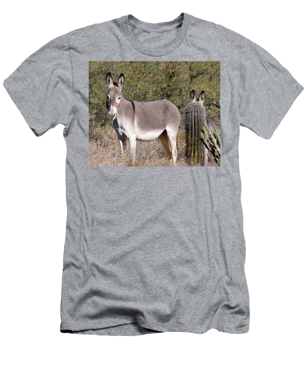 Wildlife T-Shirt featuring the photograph Saguaro Burro by Mary Hone