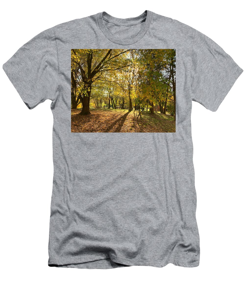 Old T-Shirt featuring the photograph Salem Gold by Lee Darnell