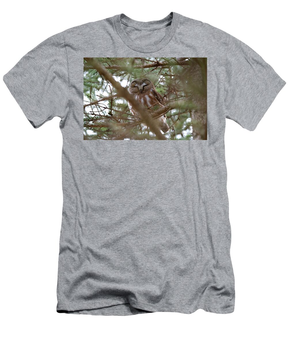 Saw-whet T-Shirt featuring the photograph Saw Whet Owl Hidden and Sleeping by Flinn Hackett