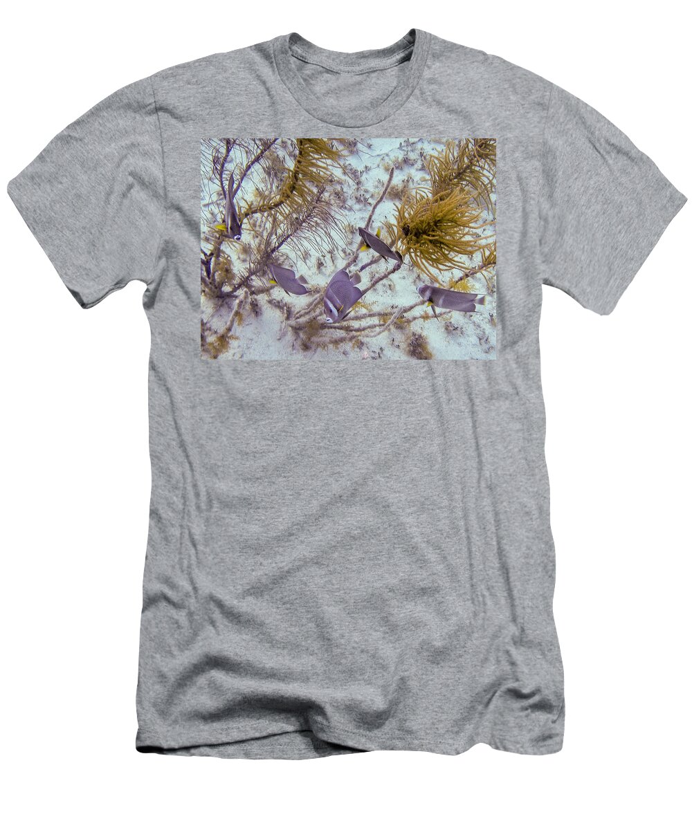 Animals T-Shirt featuring the photograph School Dance by Lynne Browne