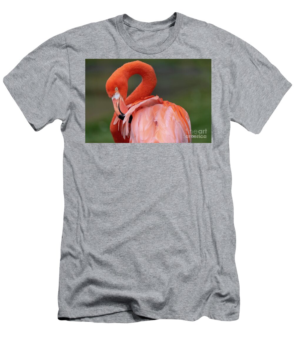 Bird T-Shirt featuring the photograph Scratching My Back by David Levin