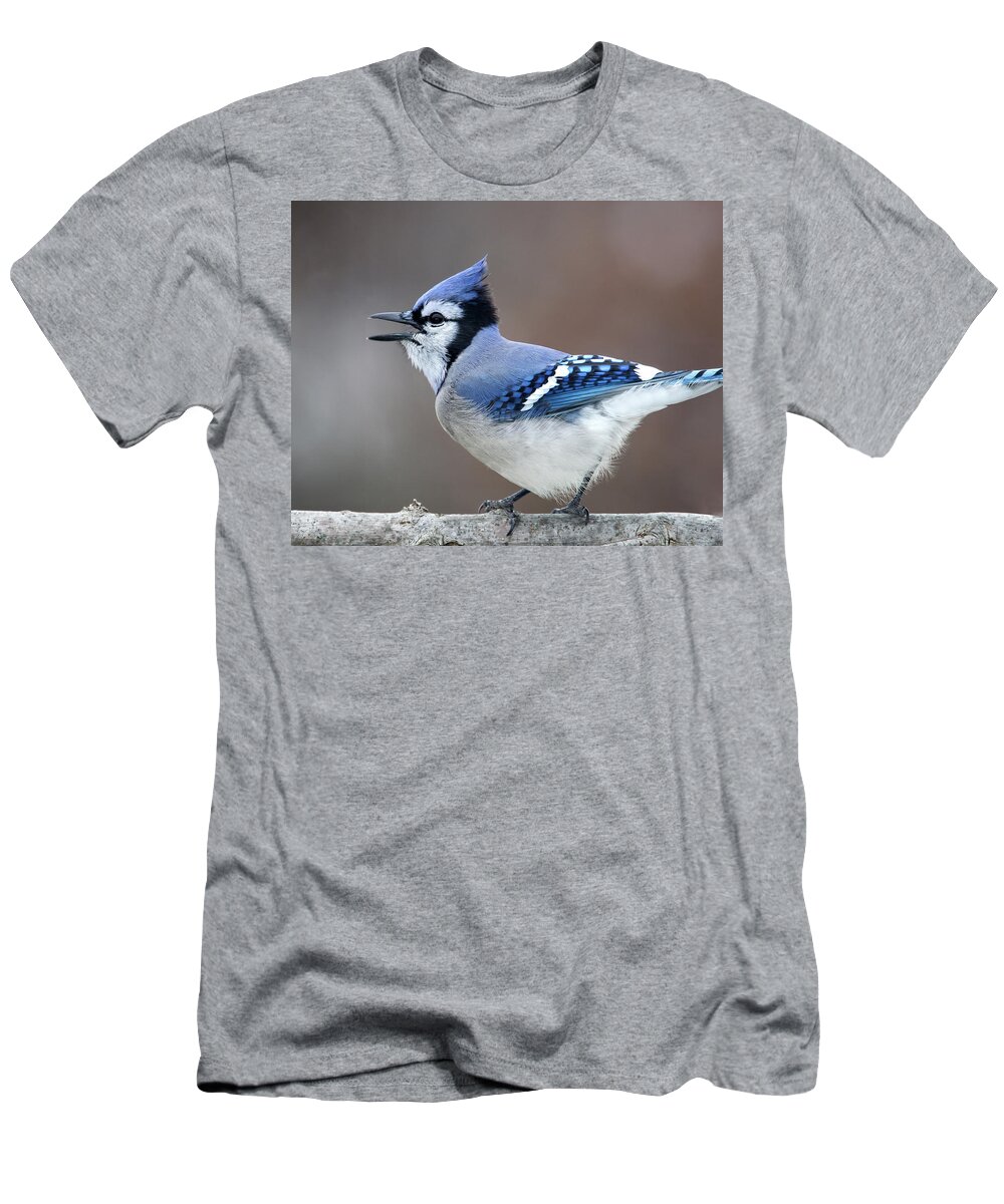 Birds T-Shirt featuring the photograph Screaming Blue Jay by Al Mueller