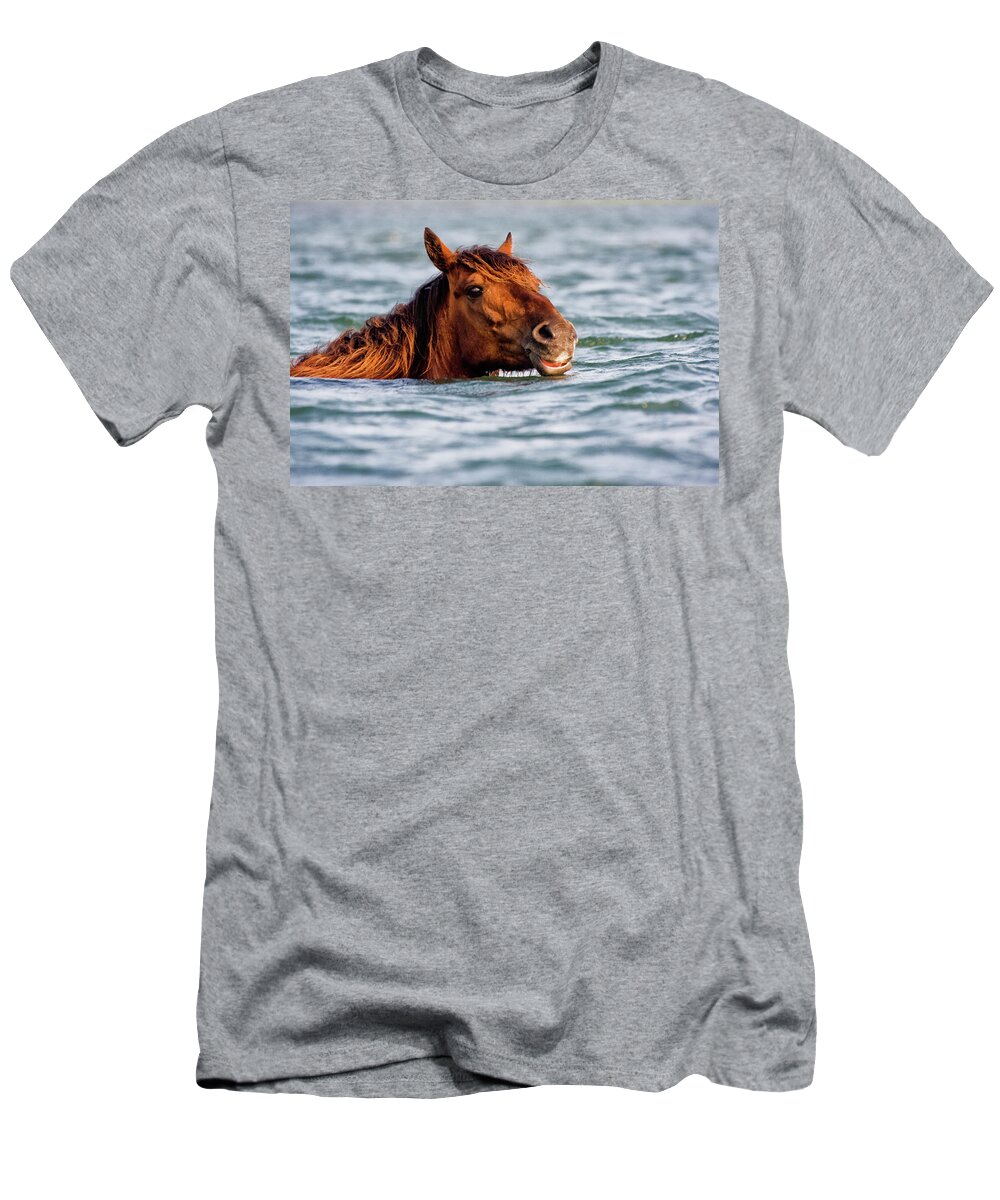 Seahorse T-Shirt featuring the photograph Sea Horse by Bob Decker