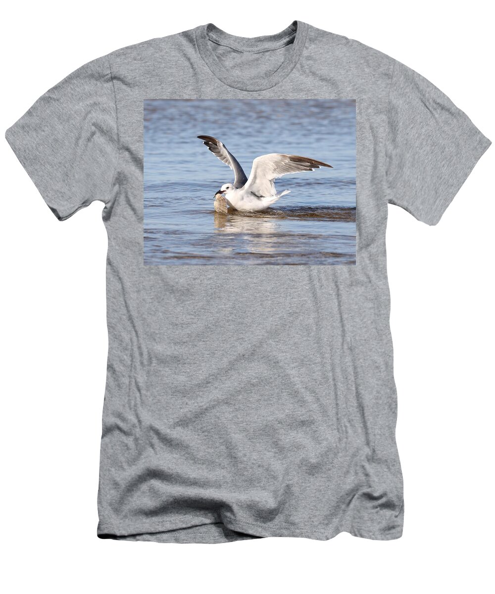 Seagull T-Shirt featuring the photograph Seagull and Its Catch by Mingming Jiang