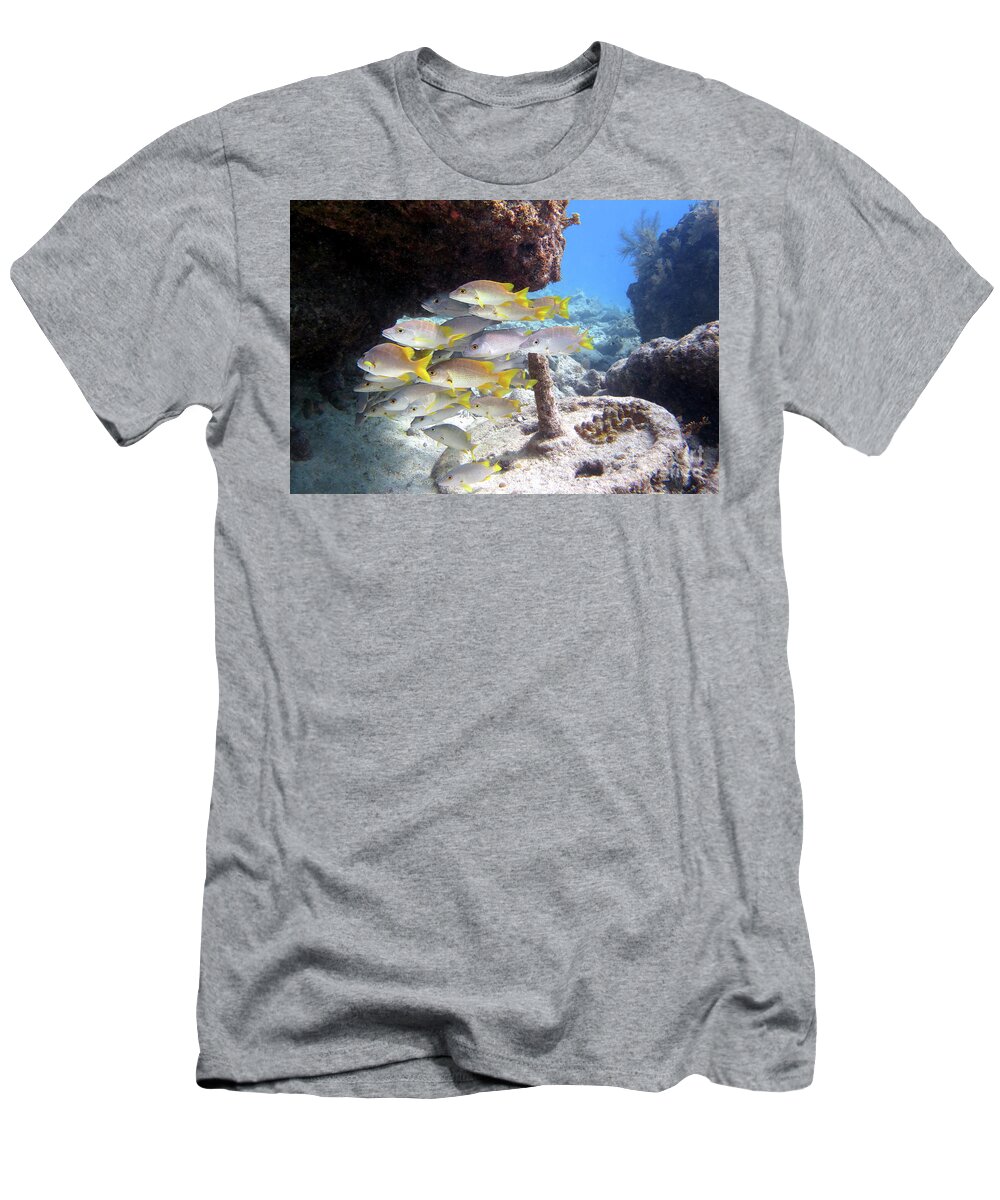 Underwater T-Shirt featuring the photograph Seascape at Molasses Reef 13 by Daryl Duda