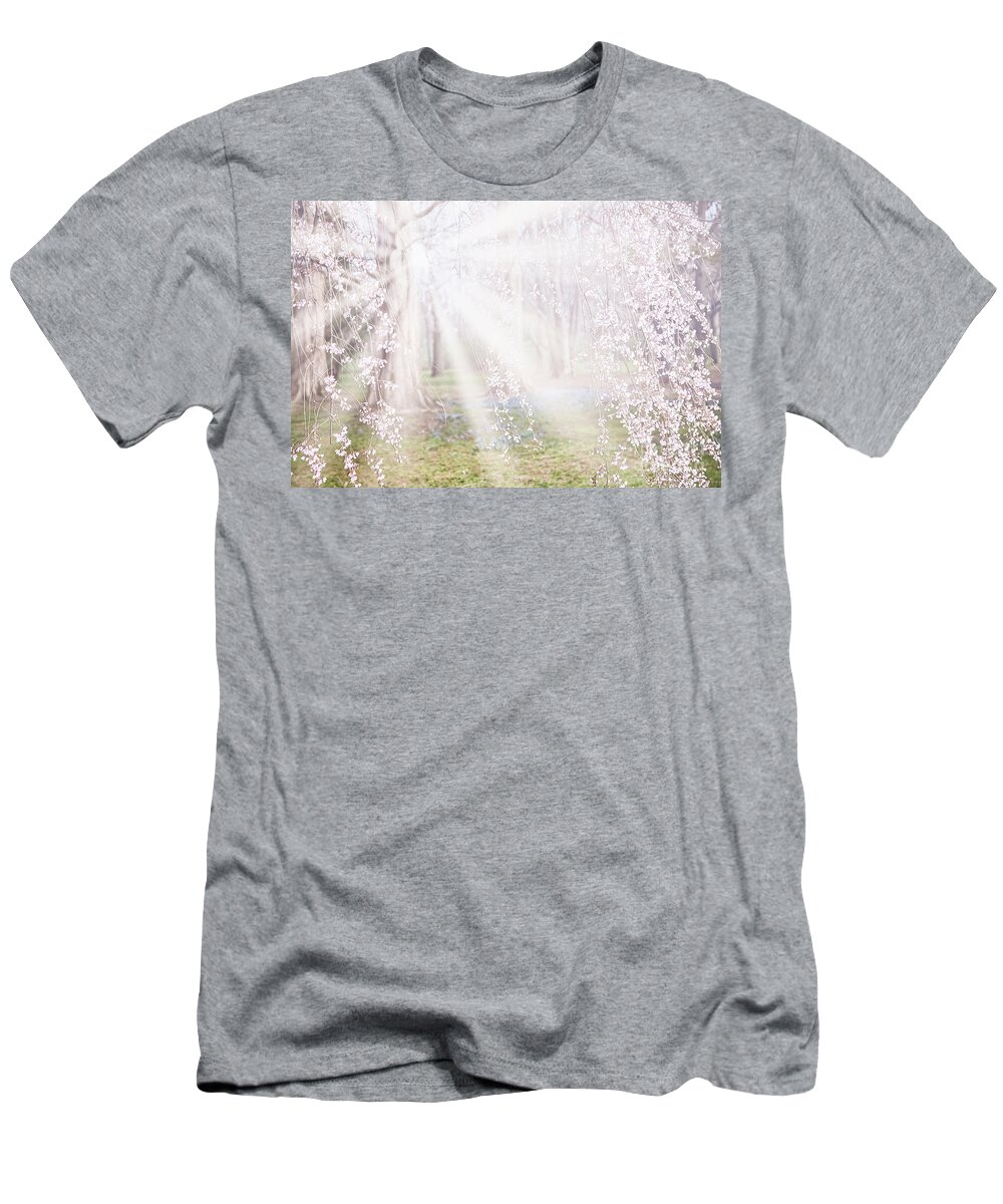 Blossoms T-Shirt featuring the photograph See the Light by Marilyn Cornwell