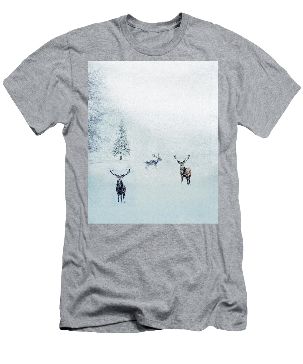 Winter Landscapes T-Shirt featuring the mixed media Seeking Cover by Colleen Taylor