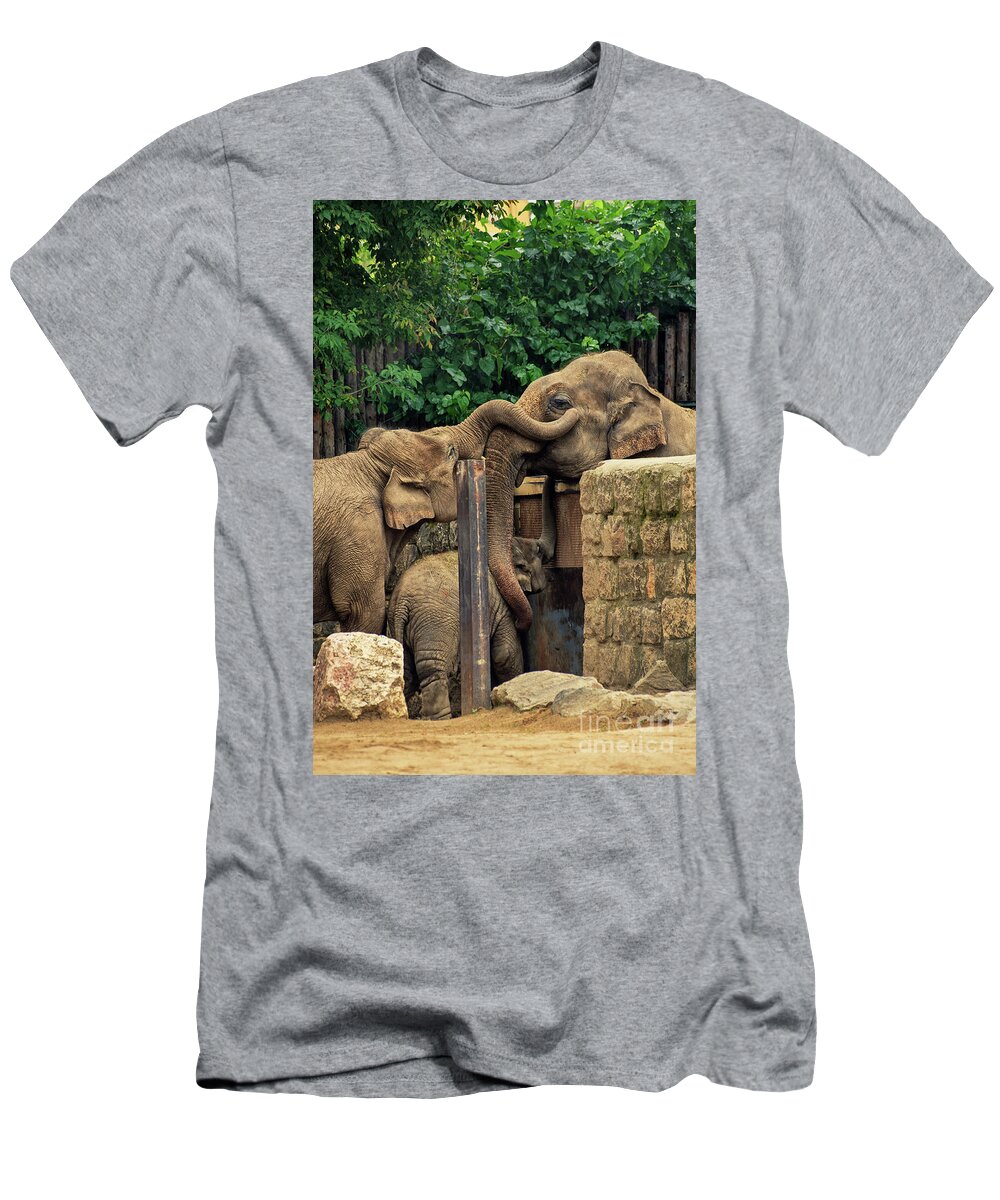 Elephants T-Shirt featuring the photograph Separated family of elephants hugging each other by Mendelex Photography