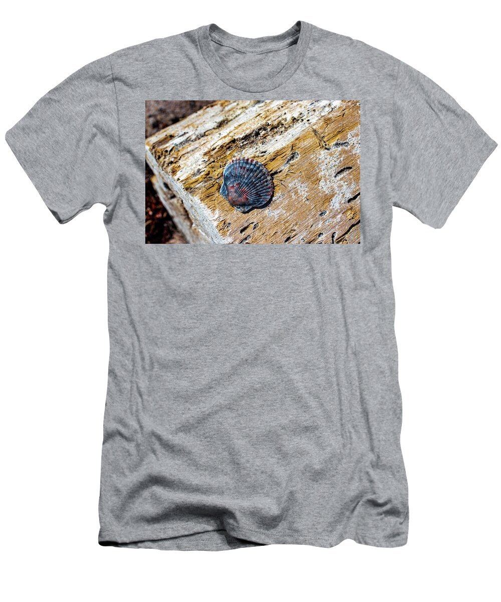 Shell T-Shirt featuring the photograph Shell Drifting by Blair Damson