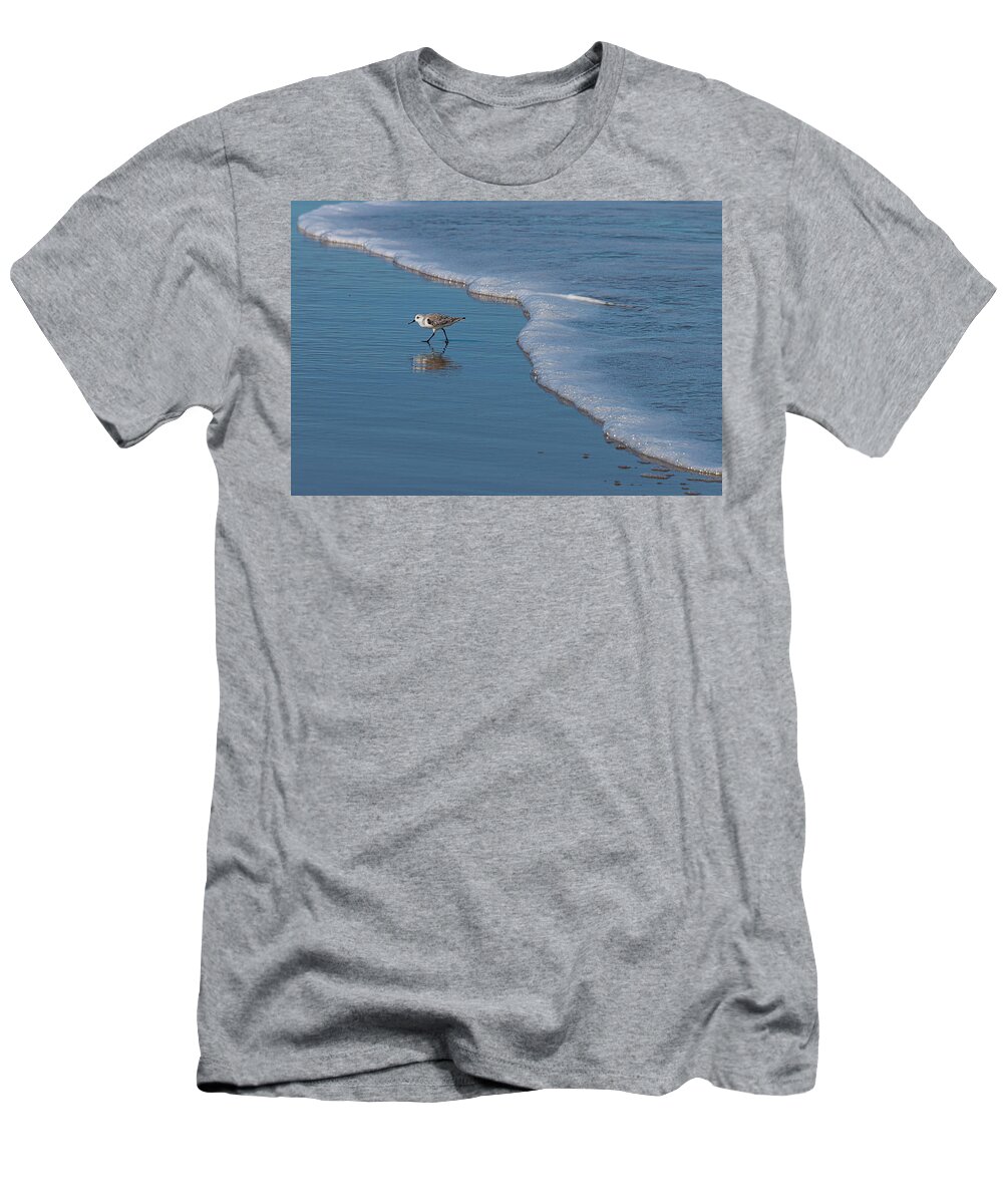 Ocean T-Shirt featuring the photograph Shore Bird by Phil And Karen Rispin