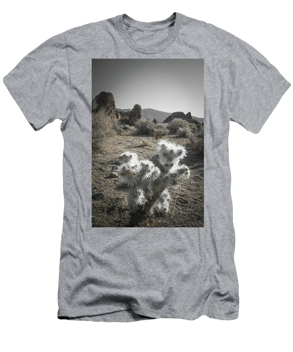 Alabama Hills T-Shirt featuring the photograph Silver Succulent by Ryan Weddle