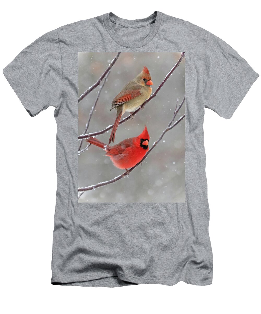 Snow T-Shirt featuring the photograph Snow Day by Mindy Musick King