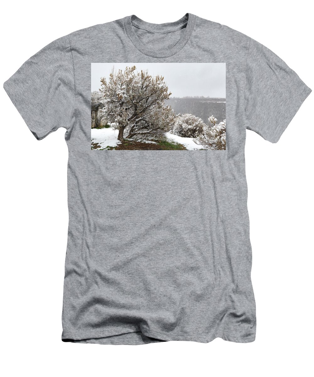 Snow T-Shirt featuring the photograph Snow on Sage by Diane Bohna